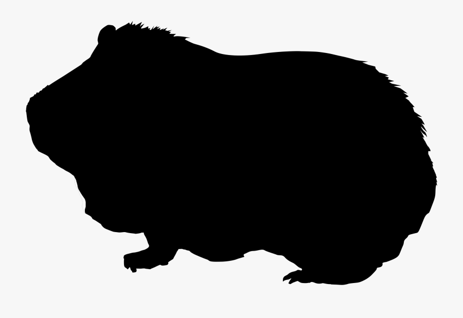 Guinea Pig Silhouette Drawing Clip Art - Guinea Pig Silhouette Clipart, Transparent Clipart