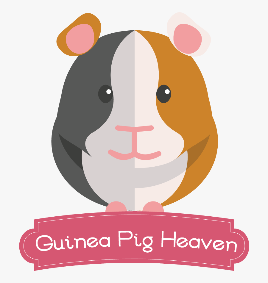 Transparent Background Guinea Pig Clipart, Transparent Clipart