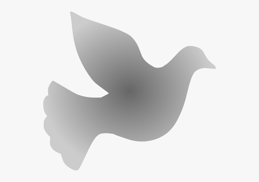 Dove Clipart Vector Png - Silver Dove Png, Transparent Clipart