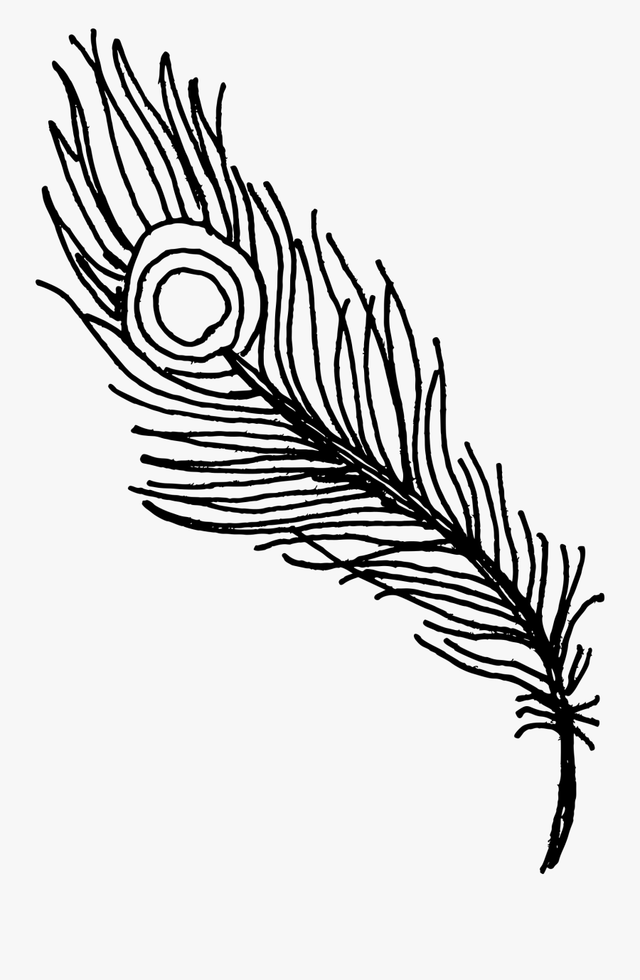 Line Drawing Of Peacock Feather , Free Transparent Clipart - ClipartKey