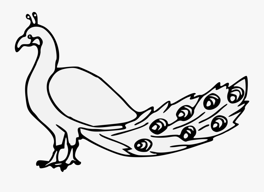 Peacock Line Drawing Png, Transparent Clipart