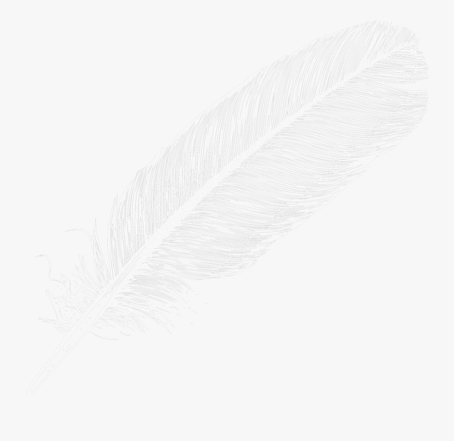 Large White Transparent Feather Png Clipart - Transparent Background Feather Icon, Transparent Clipart