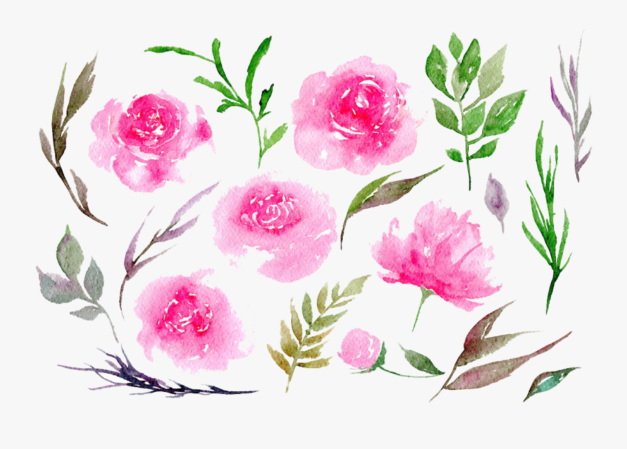 Peonies Png Clipart - Pink Peonies Watercolor Png, Transparent Clipart