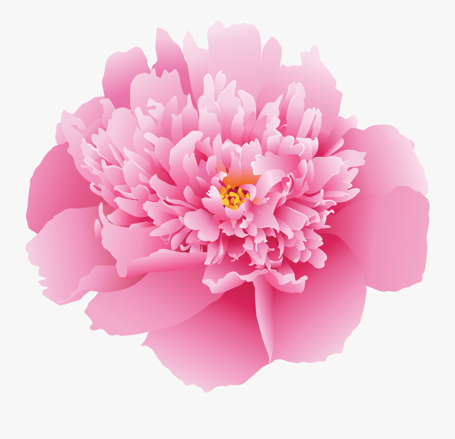 Clip Art Flower Png Clip Art - Pink Peony Transparent Background , Free