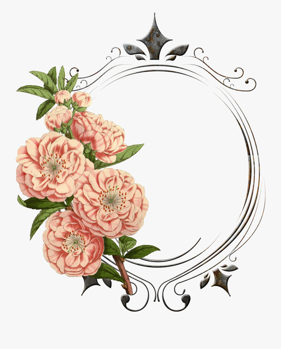 Flower,cut Flowers,clip Design,rose Family,illustration,rosa, Transparent Clipart