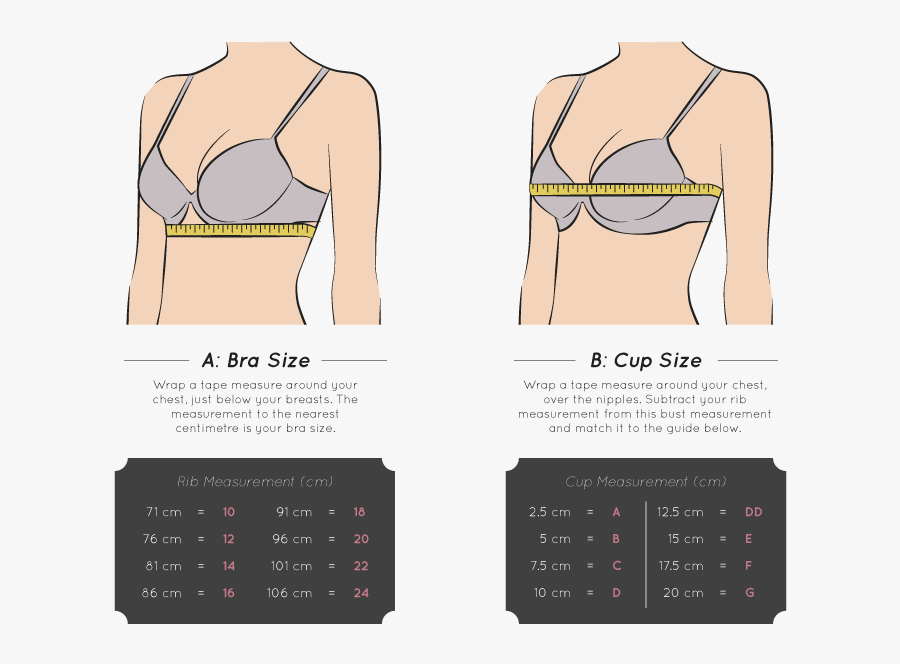 Clip Art How To Measure Your - 24 B Bra Size, Transparent Clipart