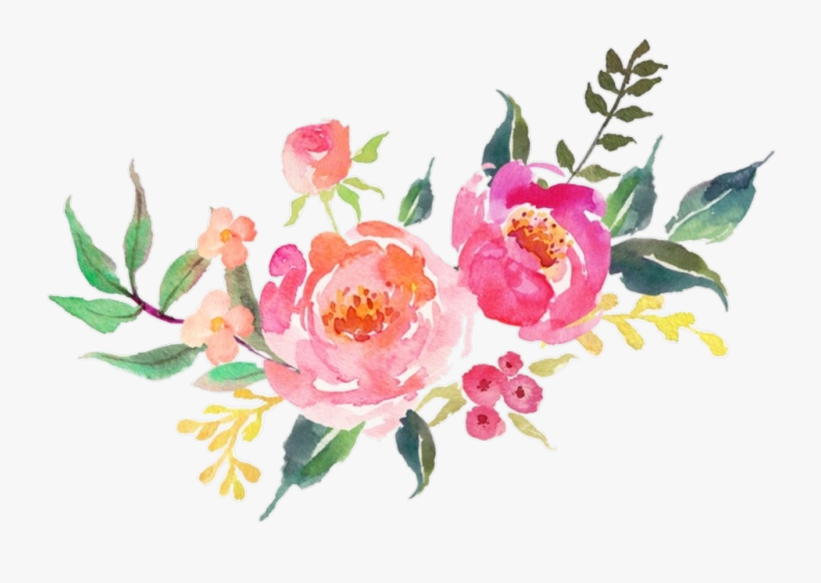 Flower Pink Flowers Watercolor Nature Pink Watercolor Flower Png Free Transparent