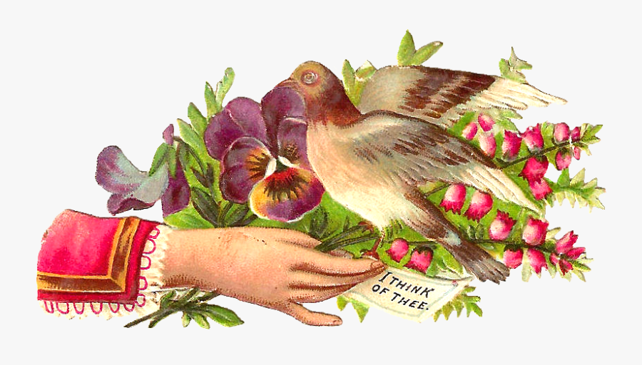 Free Bird Clip Art - Nightingale, Transparent Clipart