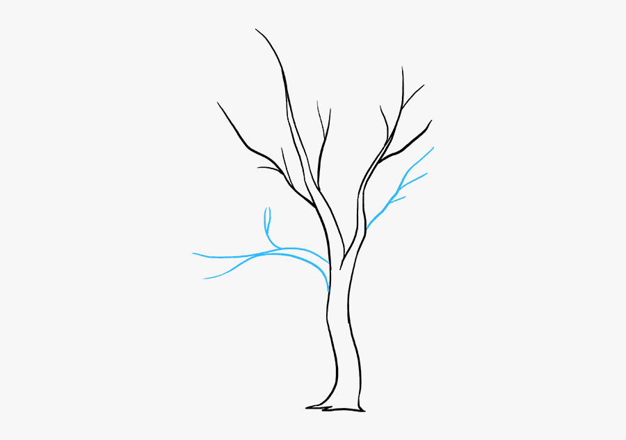 How To Draw Fall Tree - Illustration, Transparent Clipart