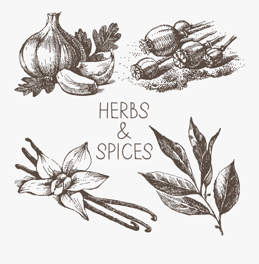 Clip Art Drawing Free Clip Floating - Spices Black And White Png, Transparent Clipart