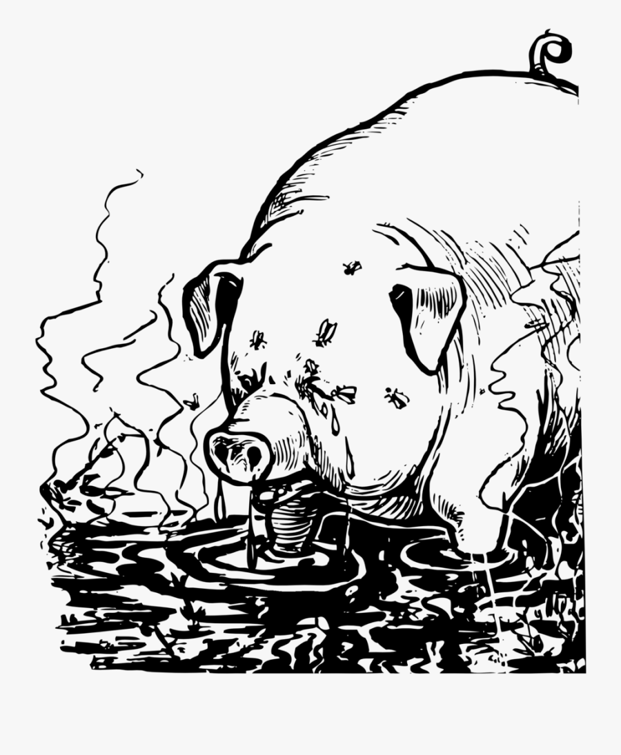 Sweaty Filthy Pig - Filthy Clipart Black And White, Transparent Clipart