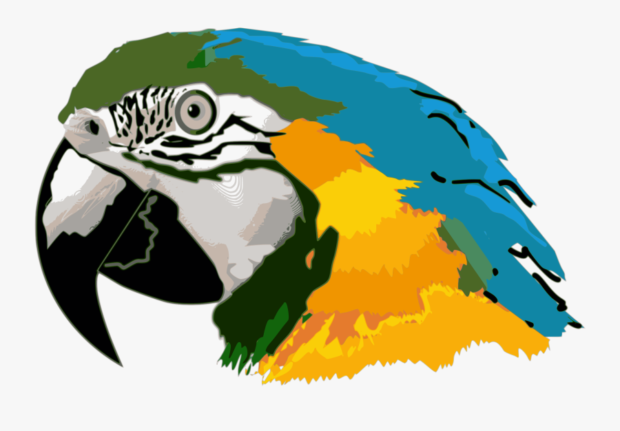 Macaw,parrot,vertebrate - Parrot Head Clip Art, Transparent Clipart