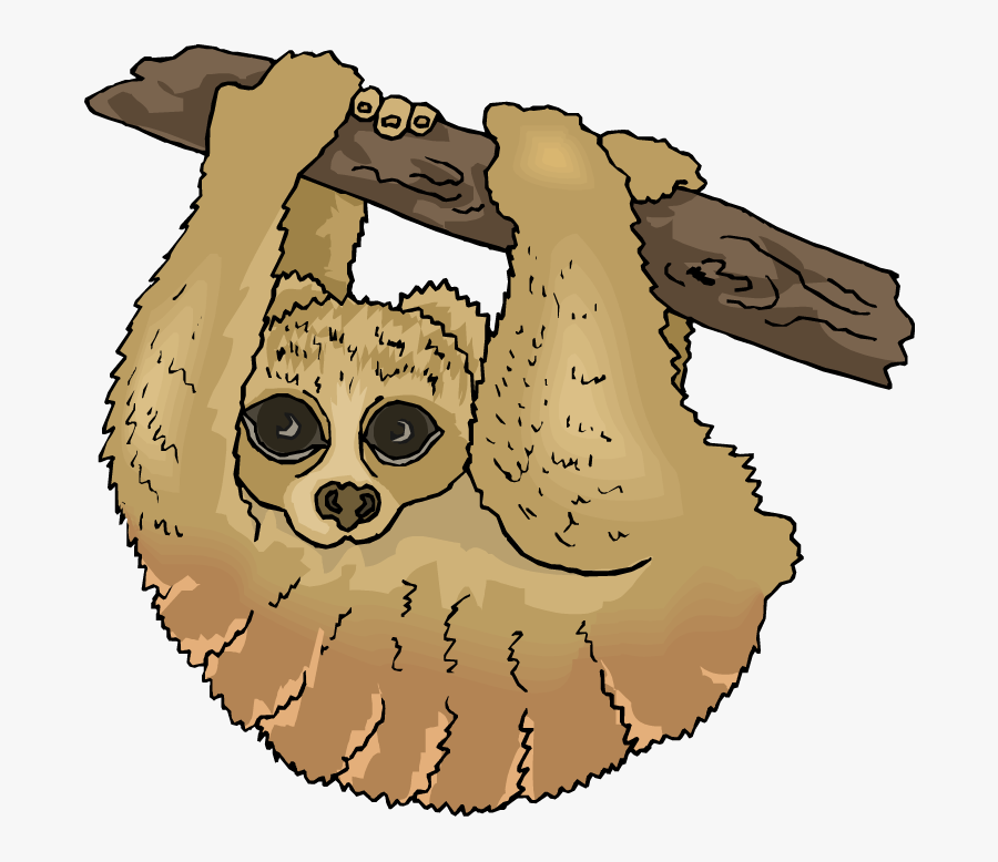 Sloth Clipart - Three Toed Sloth Clipart, Transparent Clipart