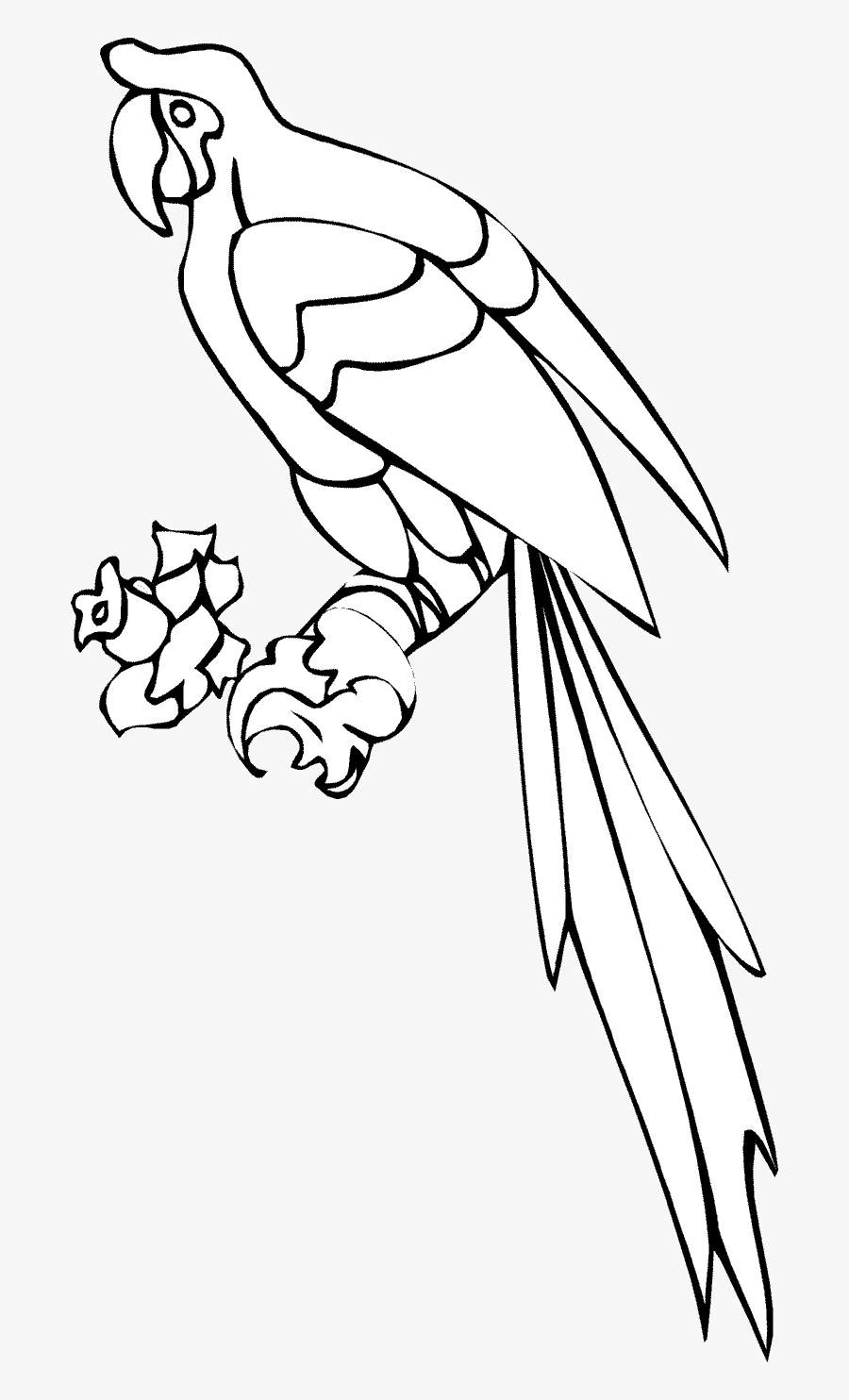 Parrot Clip Art Monkey - Clipart Parrot For Coloring Png, Transparent Clipart