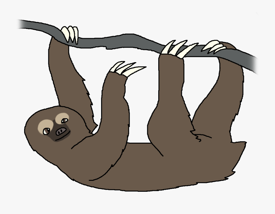 Brown-throated Sloth - Cat Grabs Treat, Transparent Clipart