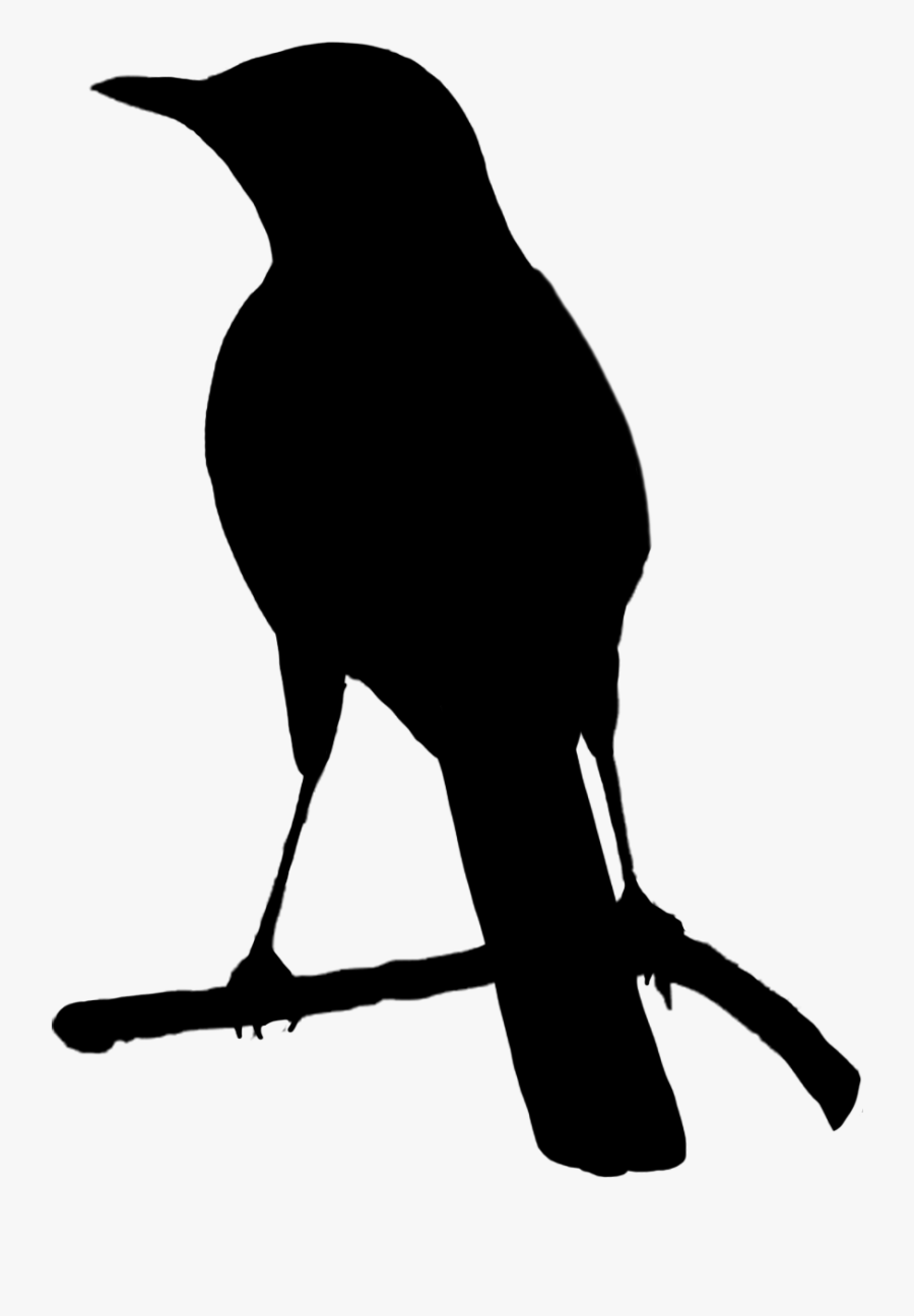 Raven - Bird Png Black And White, Transparent Clipart