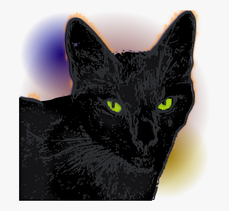 Domestic Short Haired Cat,snout,small To Medium Sized - Black Cat, Transparent Clipart