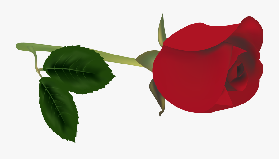 Red Rose Bud Png Clipart - Red Bud Clipart, Transparent Clipart