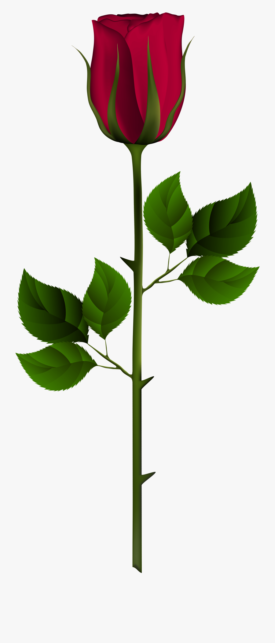 Rose Clipart Bud - Transparent Rose Bud Png , Free Transparent Clipart ...