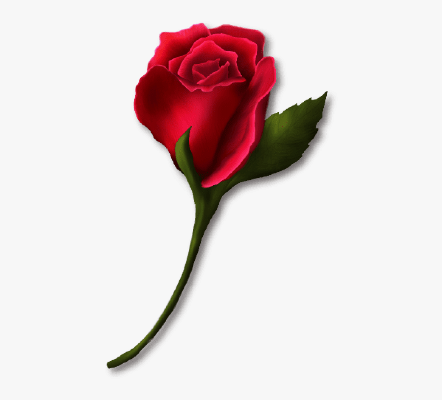 Download Red Rose Bud Painted Png Images Background - Rose Bud Clipart, Transparent Clipart