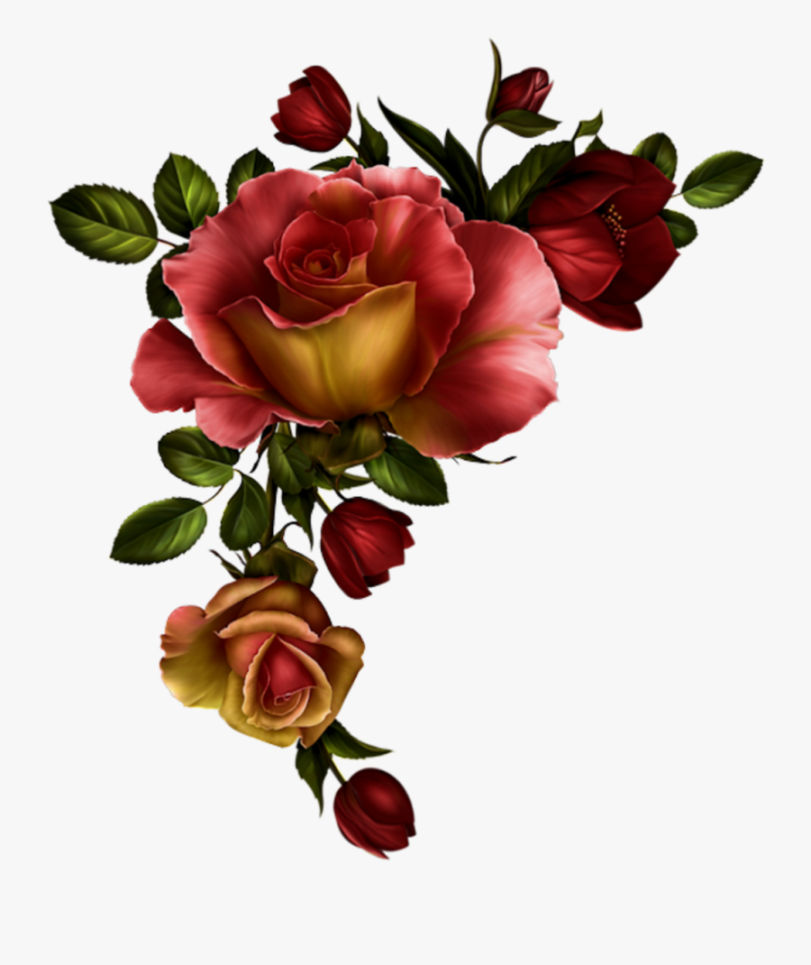 Red Rose Clipart Divider - Watercolor Red Roses Png, Transparent Clipart