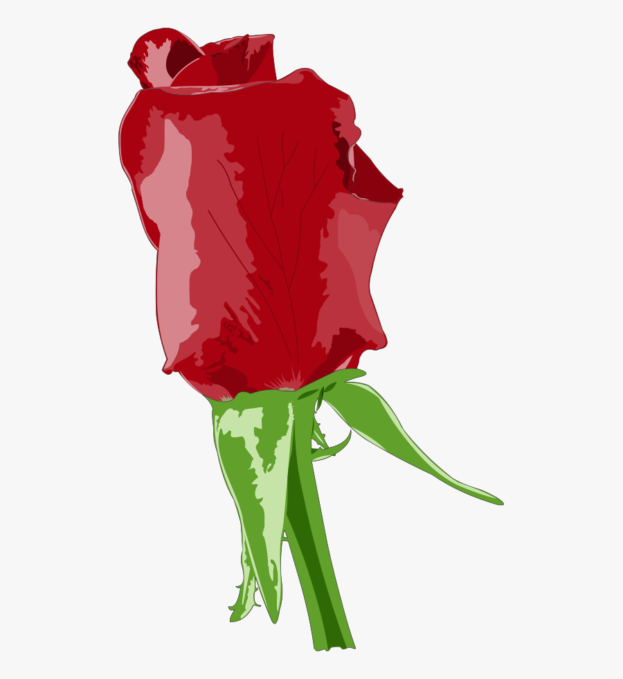 Red Roses Clip Art - Red Rose Big Size, Transparent Clipart
