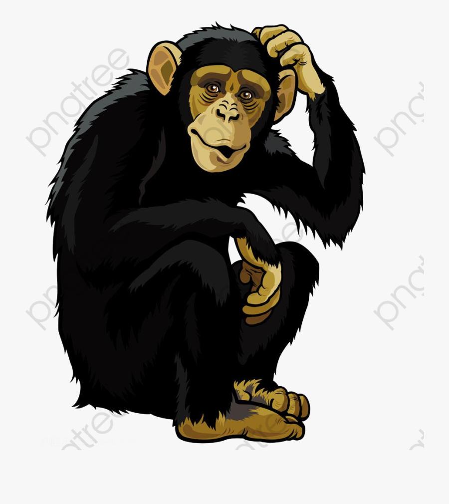 Png Download , Png Download - Chimpanzee Vector, Transparent Clipart