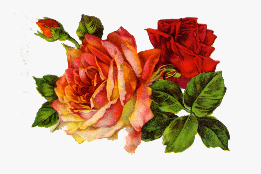 Rose Clipart Decoupage - Aesthetic Twitter Header Flowers, Transparent Clipart
