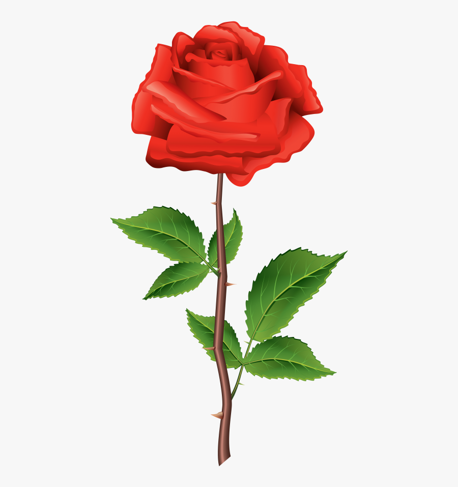 Download Stem Red Rose Clipart Png Photo Transparent - Flower With Stem Png, Transparent Clipart