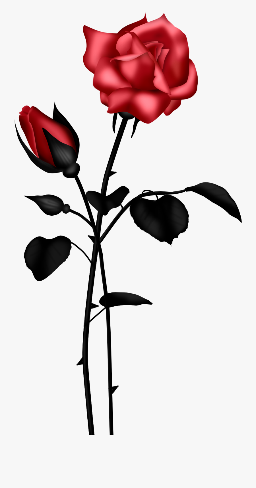 Rose Red Flower Clip Art Vector Online Royalty Free - Light Blue Rose Transparent, Transparent Clipart