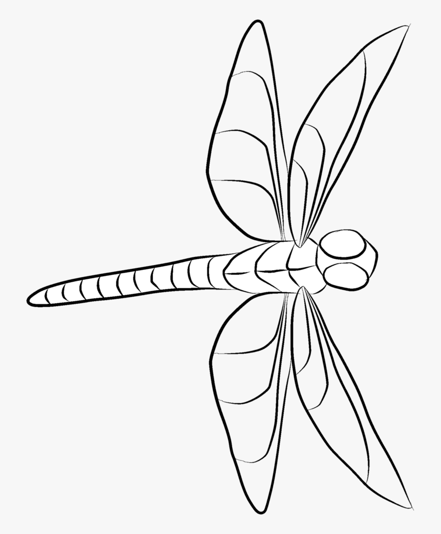 Clip Art Dragonfly At Getdrawings Com - Dragonfly Line Drawing, Transparent Clipart