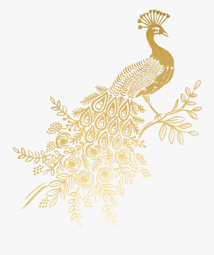 Clip Art Gold By Rifle Paper - Golden Peacock On Tree Png, Transparent Clipart