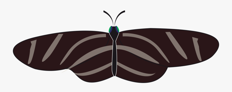 Butterfly Insect Animal Free Picture - Facebook, Transparent Clipart