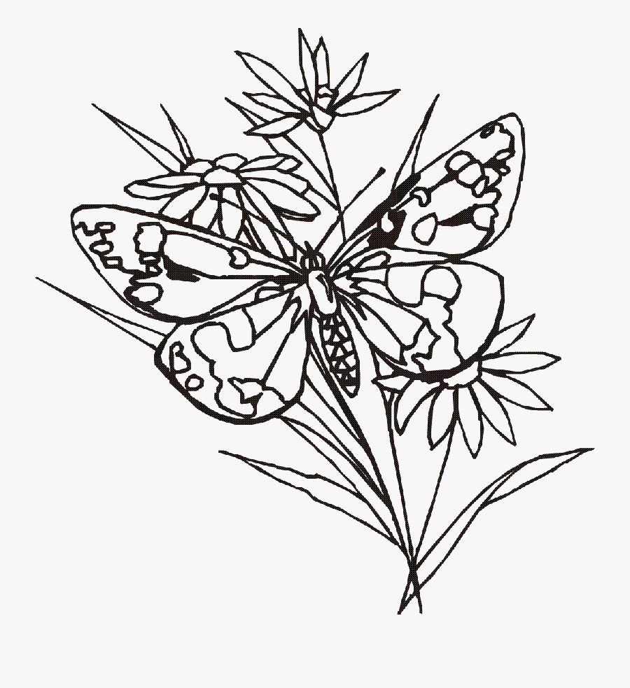 Banner Black And White Library Crosses With Drawing - Butterfly And Flower Drawings, Transparent Clipart