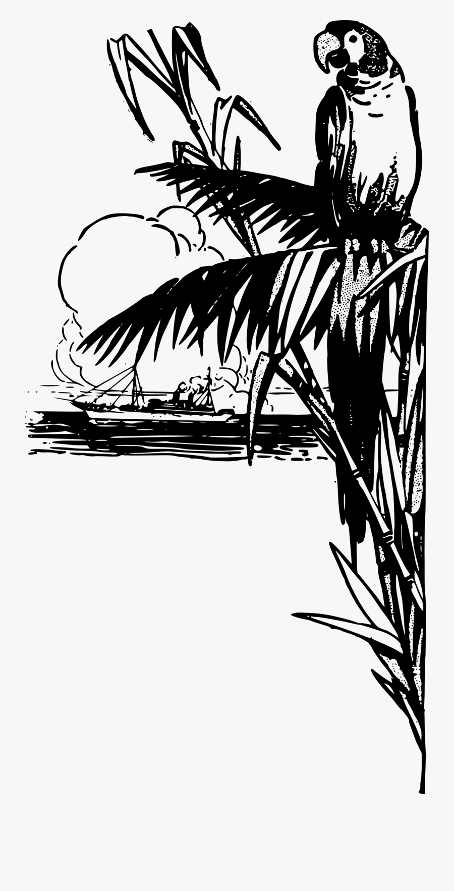 Tropical Parrot - Black White Tropical Art, Transparent Clipart
