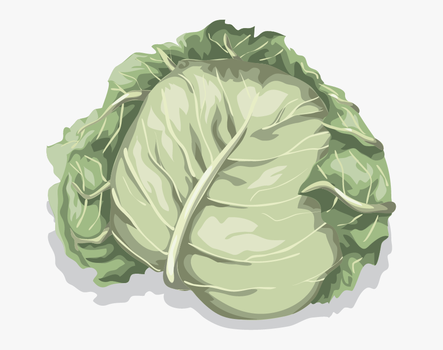 Cartoon Lettuce Leaf Png / Download in under 30 seconds. - Kremi Png