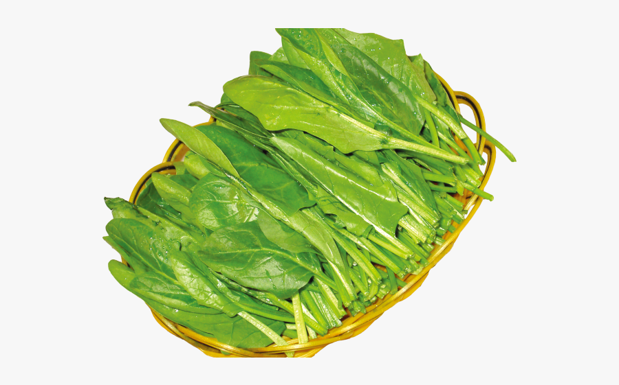 Spinach, Transparent Clipart