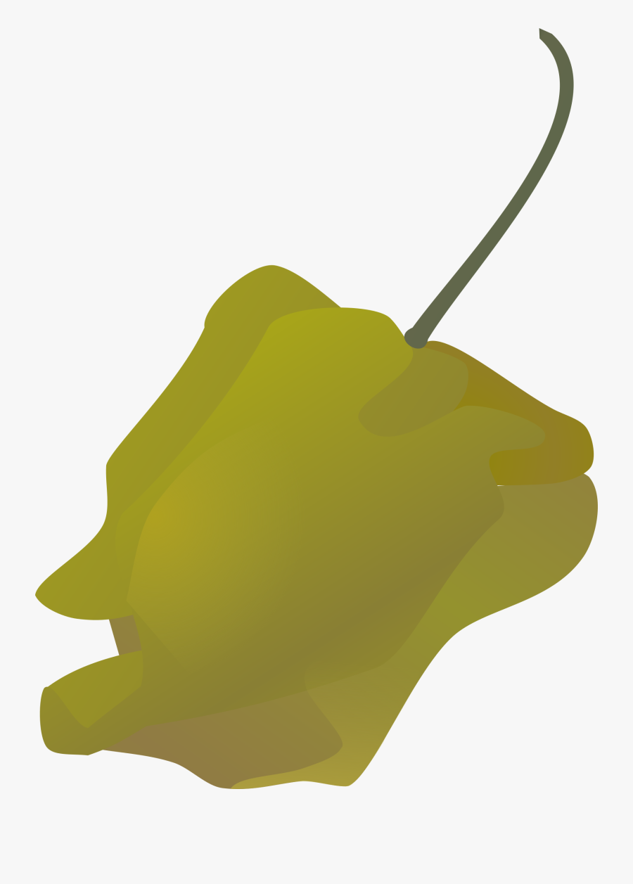 Habanero Pepper Simple - Habanero, Transparent Clipart