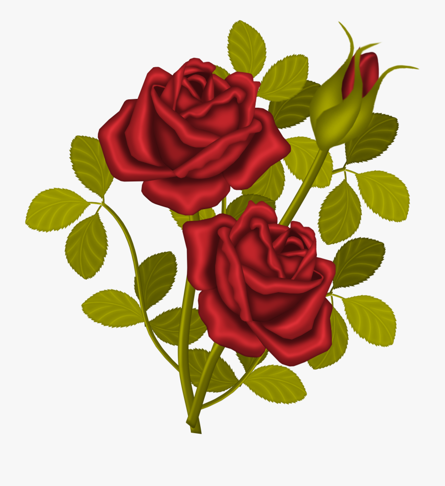 Transparent Roses Bouquet Clipart - Rose Plant Clip Art, Transparent Clipart