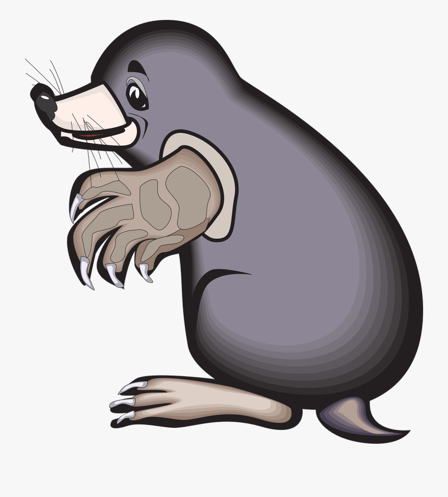 Cartoon Mole Clip Art - Animated Mole Clip Art, Transparent Clipart