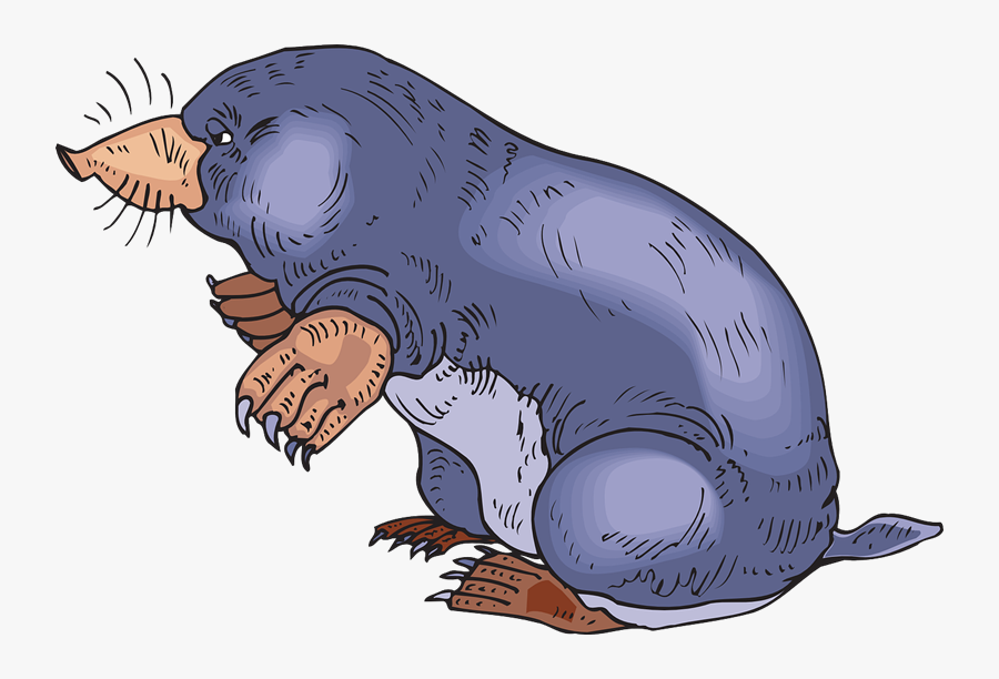 Mole Clipart, Transparent Clipart