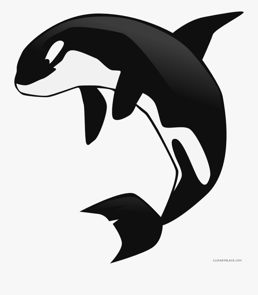 Orca Whale Clipart - Killer Whale Clipart Transparent Background, Transparent Clipart