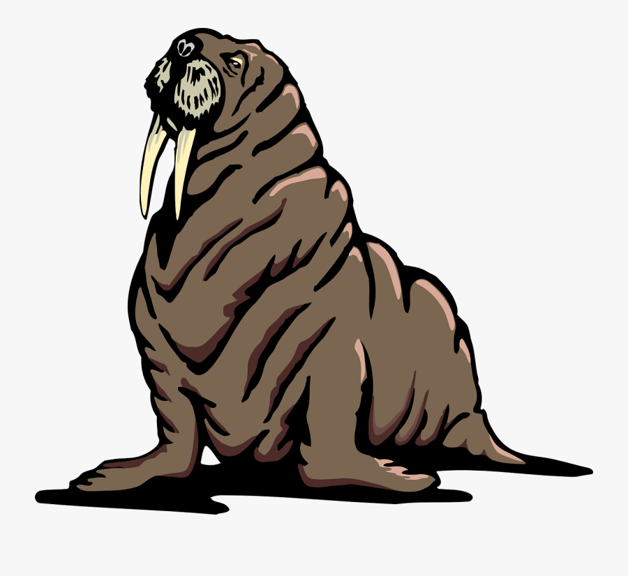 Walrus Clipart Wikiclipart - Walrus Clipart Transparent, Transparent Clipart