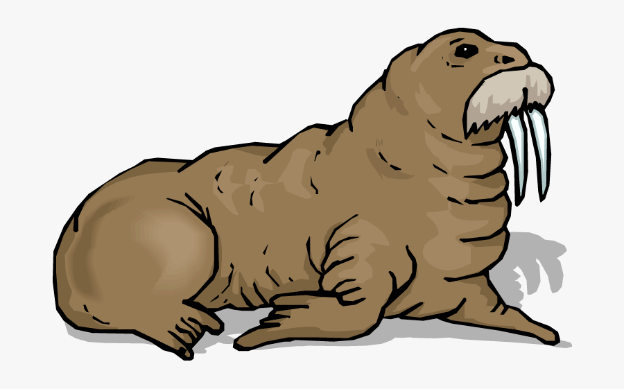 Walrus Clip Art - Clipart Images Of Walrus, Transparent Clipart