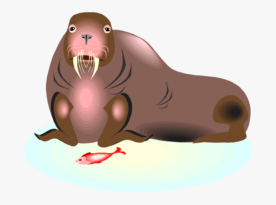 Walrus Animation, Transparent Clipart