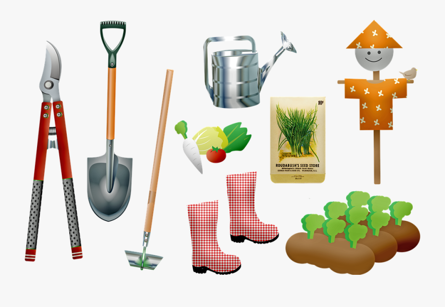 Garden Tools Plants Growing Seeds Shovel Gardening - Seeds And Garden Tools, Transparent Clipart