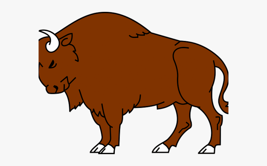 Bison Clipart , Free Transparent Clipart - ClipartKey