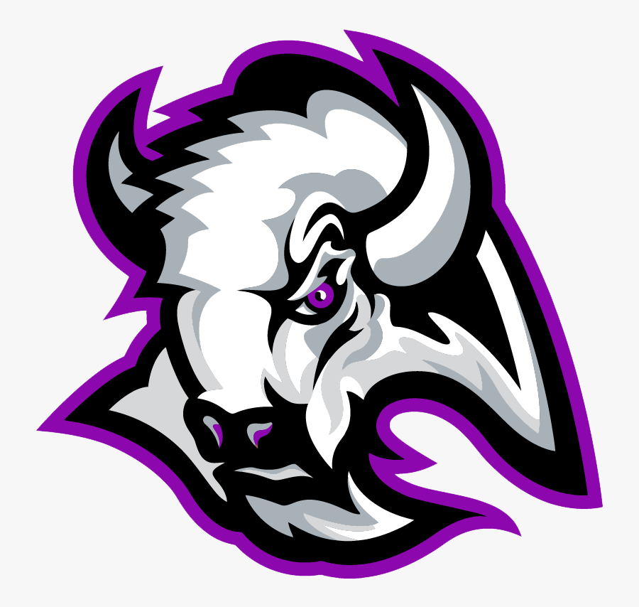 Transparent Bison Mascot Clipart - Parker High School Logo, Transparent Clipart