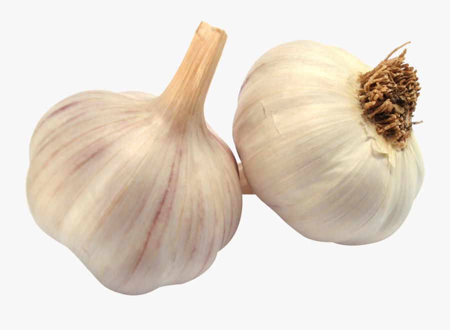 Garlic Transparent - Garlic Png, Transparent Clipart