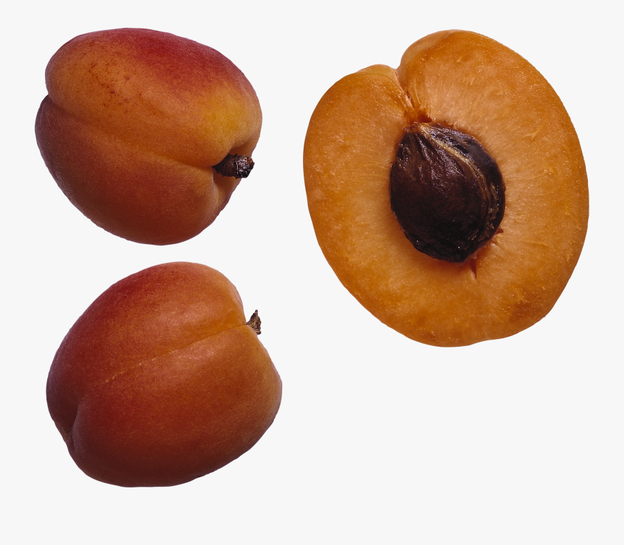 Transparent Apricot Clipart - Salary Fruit, Transparent Clipart
